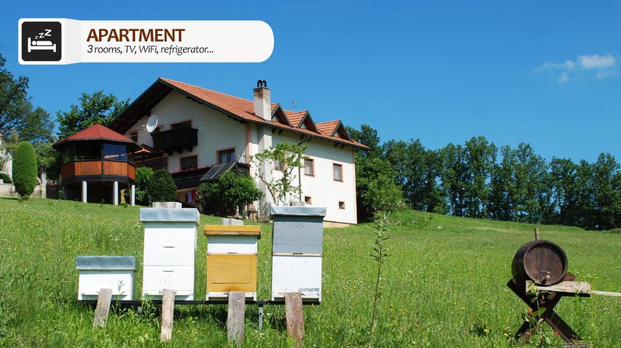 Eco Farm Milanovic Vendégház Despotovac Kültér fotó
