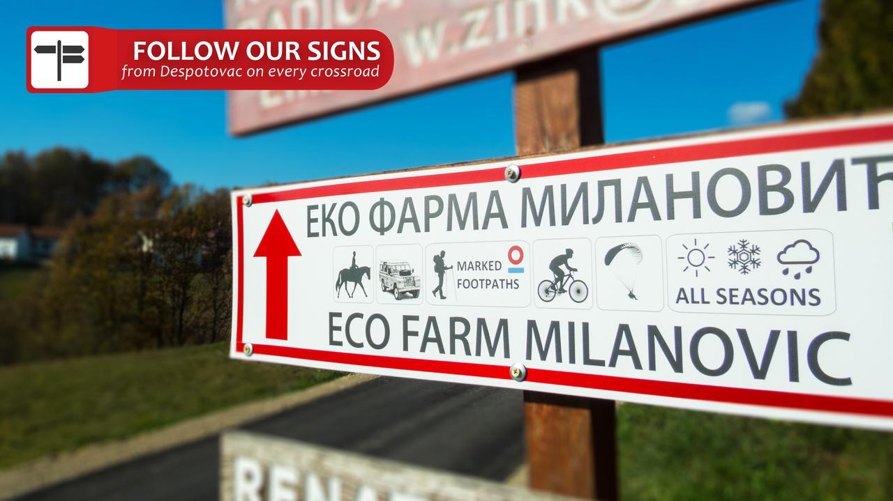 Eco Farm Milanovic Vendégház Despotovac Kültér fotó