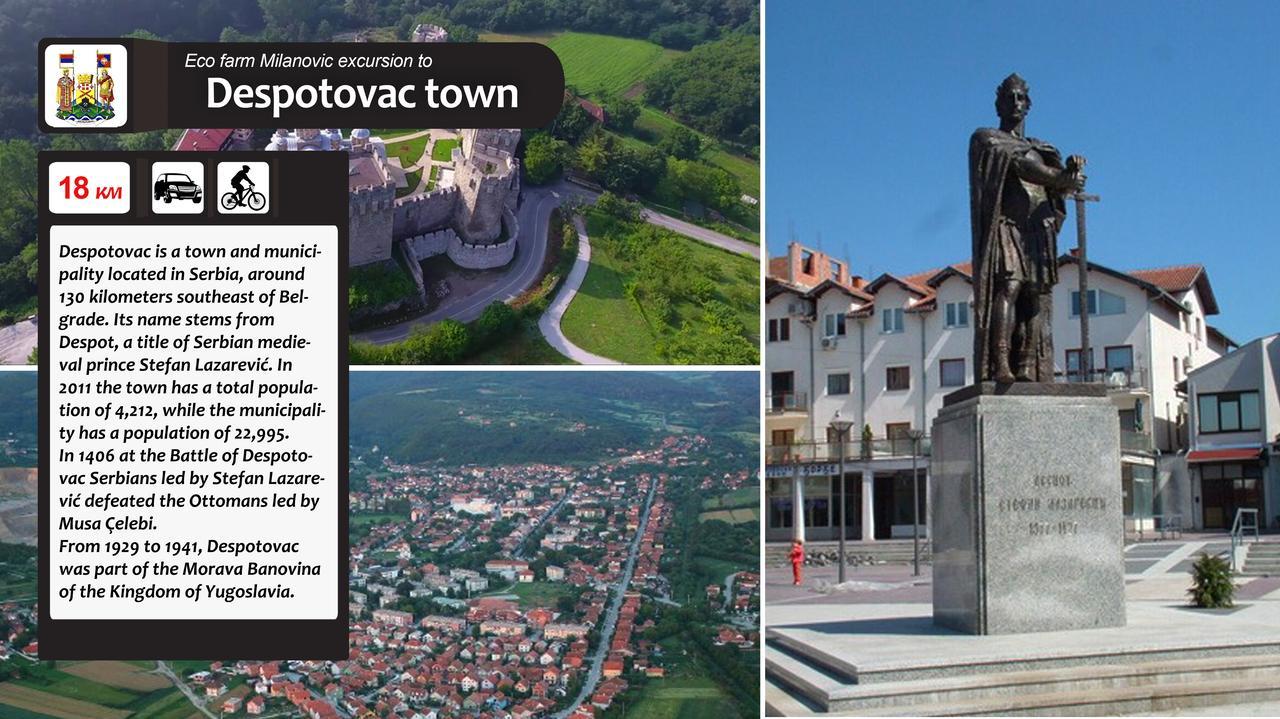 Eco Farm Milanovic Vendégház Despotovac Kültér fotó