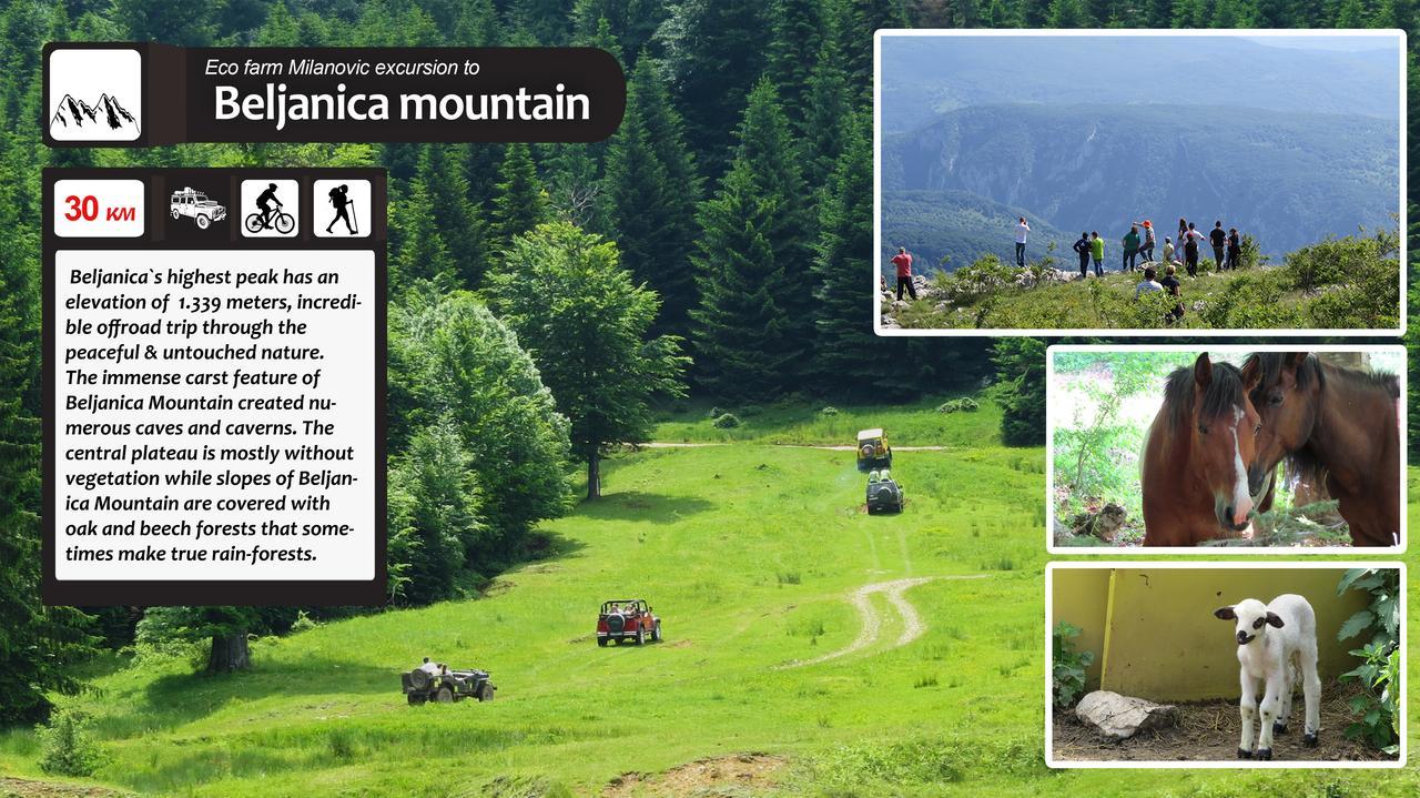 Eco Farm Milanovic Vendégház Despotovac Kültér fotó