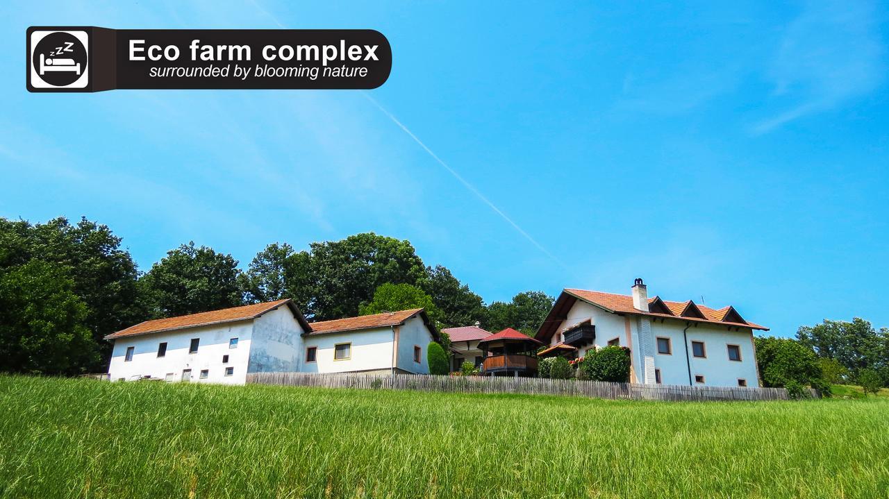 Eco Farm Milanovic Vendégház Despotovac Kültér fotó