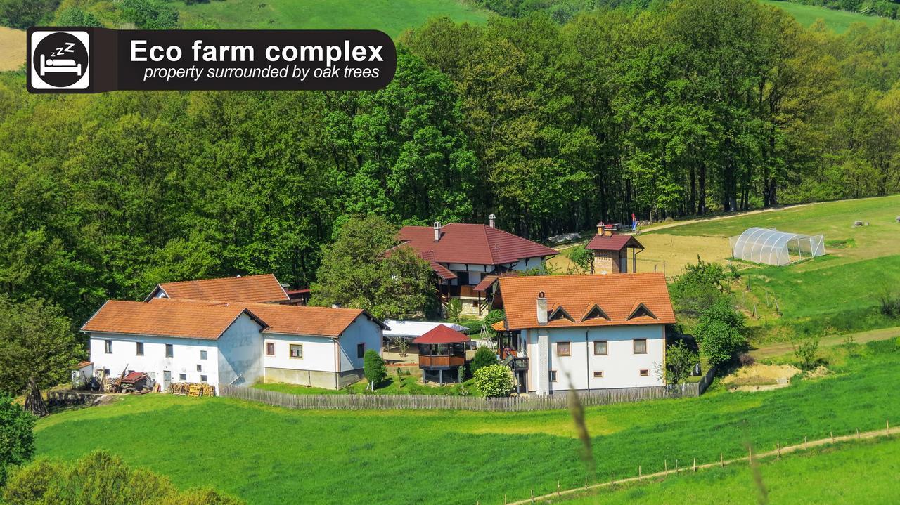 Eco Farm Milanovic Vendégház Despotovac Kültér fotó
