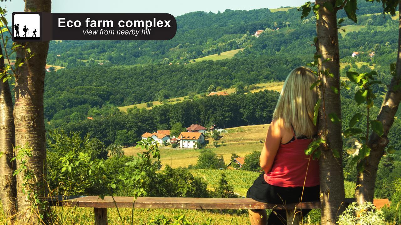 Eco Farm Milanovic Vendégház Despotovac Kültér fotó