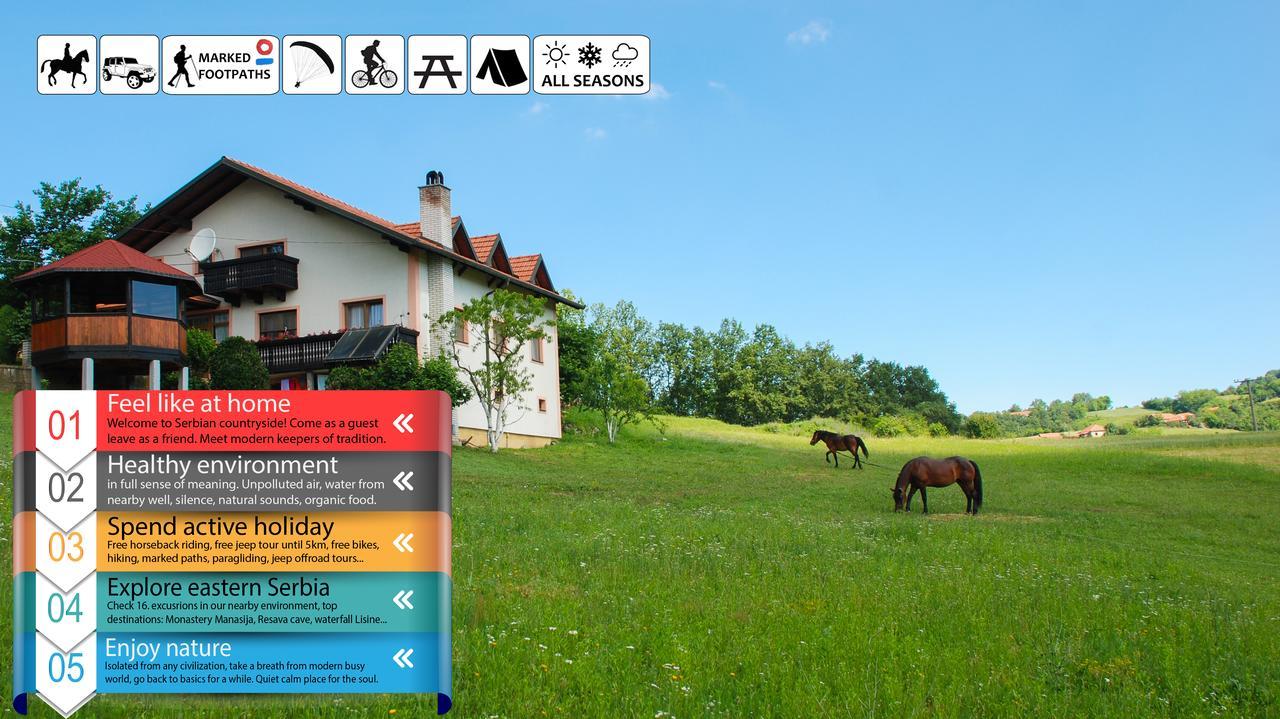 Eco Farm Milanovic Vendégház Despotovac Kültér fotó